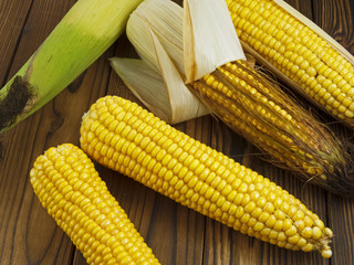 fresh juicy corn