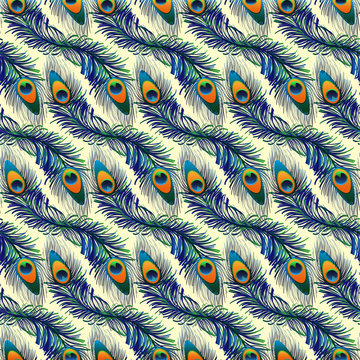 Beautiful vector seamless pattern with peacock feathers.