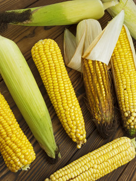 fresh juicy corn
