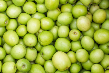 Jujube mike, a delicious fruit in Thailand