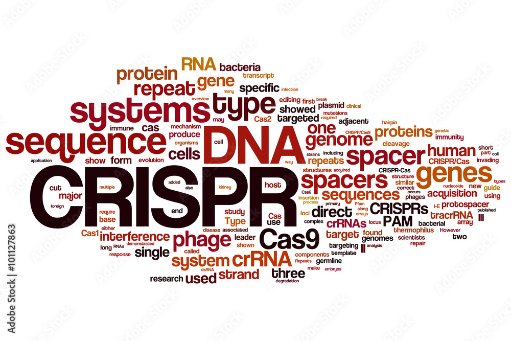 Poster CRISPR/Cas9 system for editing, regulating and targeting genomes (biotechnology and genetic engineering) word cloud