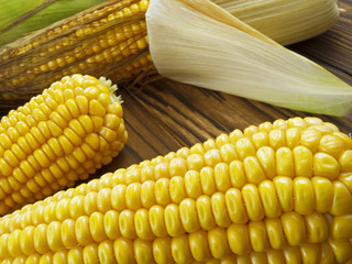 fresh juicy corn