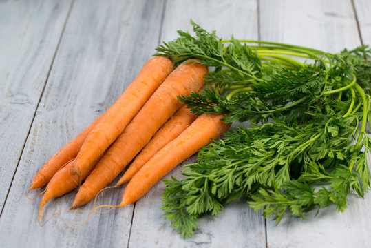 Fresh carrots bunch on wooden background