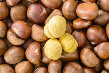 chestnuts