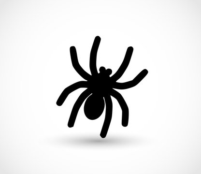 Spider icon vector