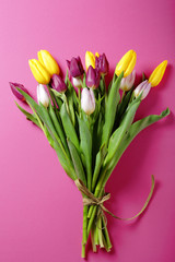 tulip bouquet on pink background