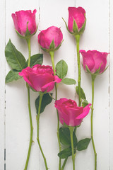 Overhead view of beautiful roses on wood table