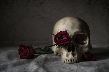 Still life photography with human skull and roses