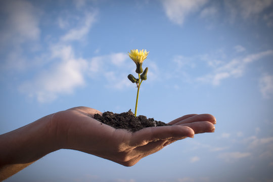 Crecimiento personal 