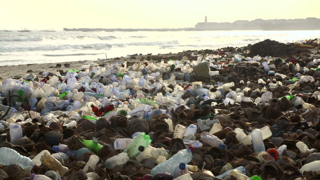 masses of plastic bottles pollute a beach