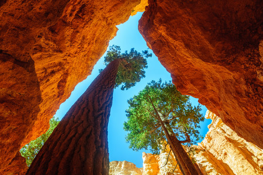 Bryce Canyon National Park