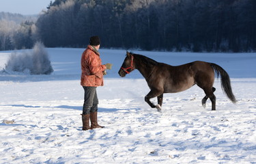 Pferdeflüsterer, Mann mit Pferd im Winter