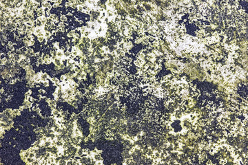 Green rotten dirty wall texture.