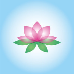 Lotus flower illustration 