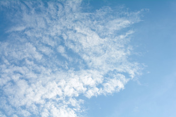 Blue sky in summer
