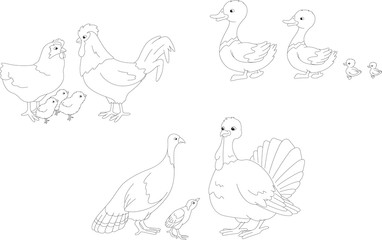 Set of duck, duckling, drake, cock, hen, chicks, turkey mother,