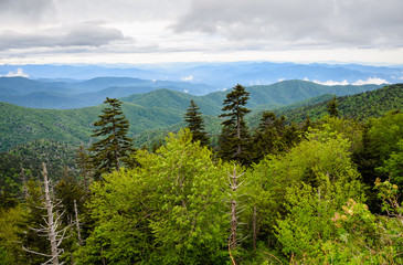Fototapeta premium Great Smoky Mountains National Park