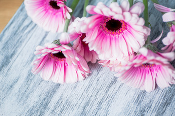 Gerbera auf einen Holztisch
