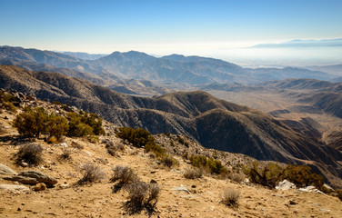 Joshua Tree National Park