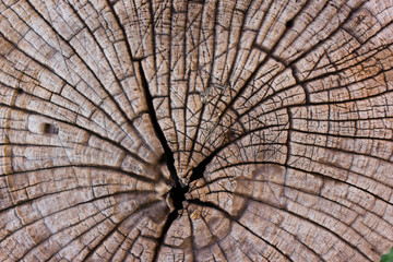 wood brown surface texture , background.