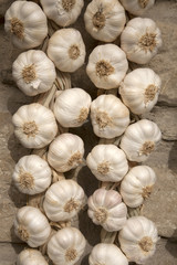 Garlic Hanging from a Stone Wall