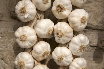 Garlic Hanging from a Stone Wall