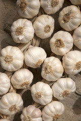 Garlic Hanging from a Stone Wall