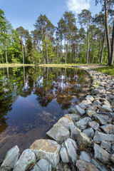 Fototapeta na wymiar Summer day on small lake in the forest