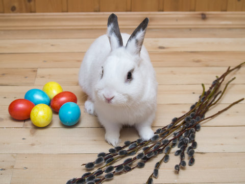 eggs, Easter bunny, willow branches on wooden background