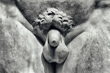 Photo sur Plexiglas Monument historique Image vintage du pénis