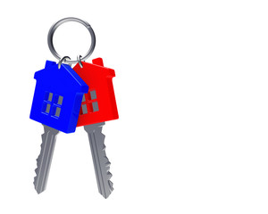 Bunch of colorful house-shape keys on a key ring isolated on white background