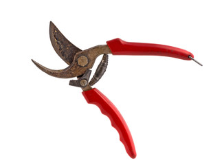 pruning shears