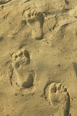 Fußspuren im Sand