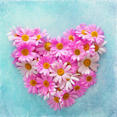 Pink daisies in the shape of a heart on a textured blue background.