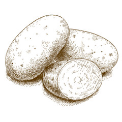 engraving  antique illustration of potatoes - 101158040