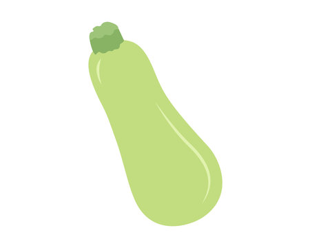 Flat icon vegetable zucchini. Vector illustration.