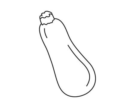 Line icon vegetable zucchini. Vector illustration.