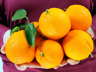 Oranges in the hands