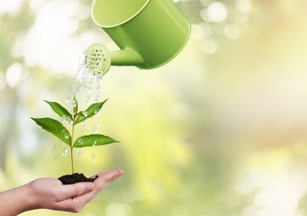 Watering Can. © BillionPhotos.com