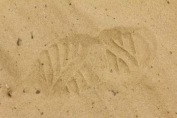 Boot print in the sand