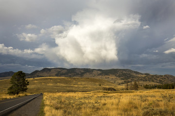 Dark storm clouds over golden grasses of the Lamar Valley, with a road and a car in the distance, in Yellowstone National Park, Wyoming.