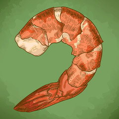 engraving  illustration of shrimp in retro style
