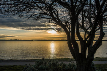 Yellow Sunset Over Puget Sound 2