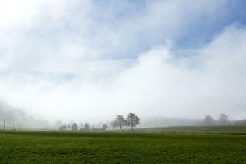 Obraz na płótnie Canvas paysage ce campagne dans la brume
