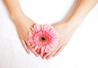 female hands in salon