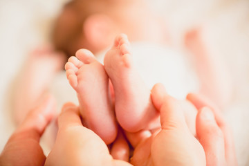 little feet of a baby in the hands of mom and dad