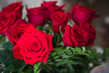 Red roses over valentines day