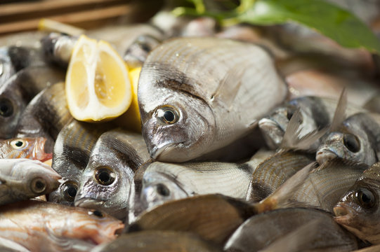 Fish market