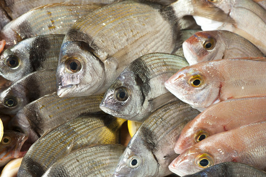 Fish market