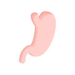 Stomach isometric 3d icon